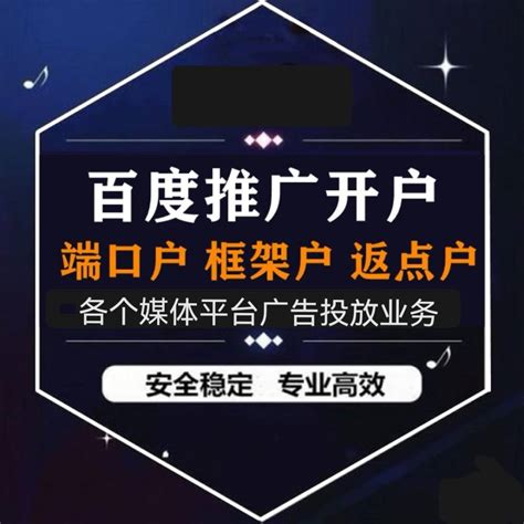 5rh_郑州百度网站推广技术