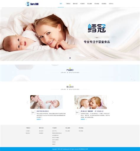 73q6zf_母婴行业网站优化方案