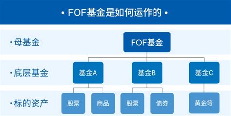FOF基金中的基金是什么啊？