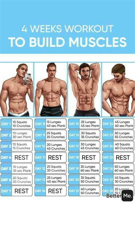 Fitness chart for a week to gain muscle fitness图片