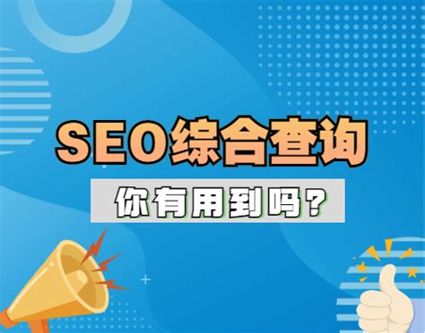 SEO综合查询怎么打开网站