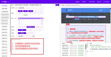 dum3_安平县网站优化排名软件