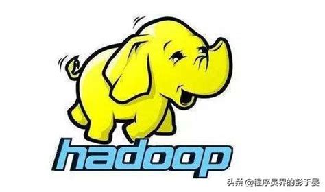 hadoop是由java语言开发的
