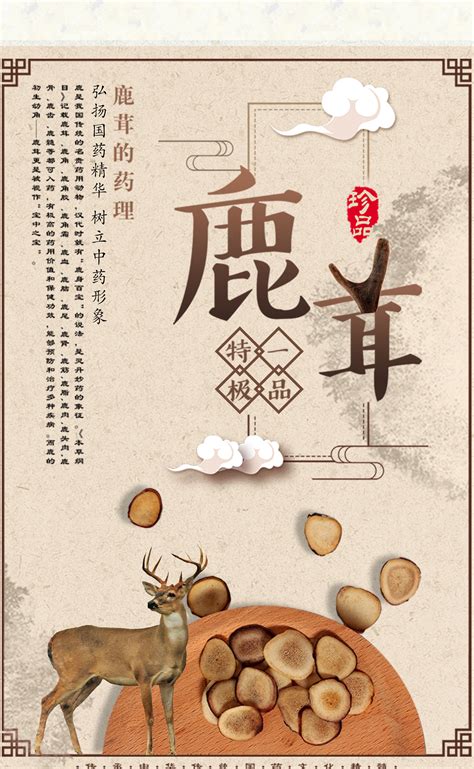 htbu1_长春市鹿产品网站推广
