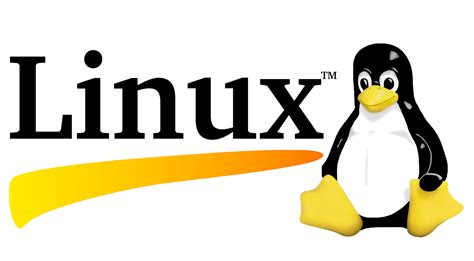 linux查看本机域名 如何在一个服务器上放两个网站，分别用不同的域名访问？