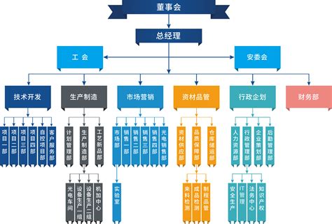 ngo2_大型公司组织架构图