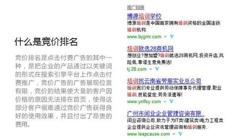 nib_杭州优质的网站优化排名