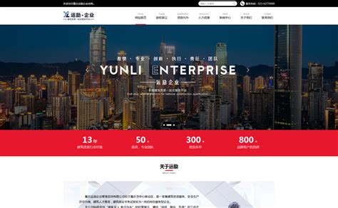 nzjuk8_重庆网站seo建设