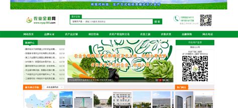q5kzv_阜阳网站建设商贸公司推广