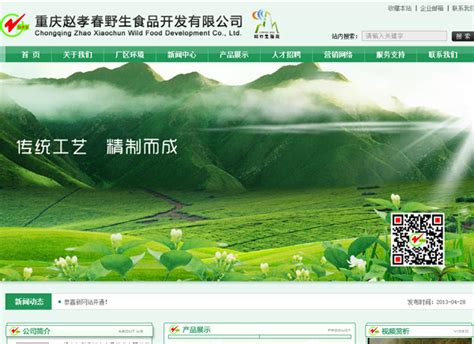 r91w_重庆城口网站优化