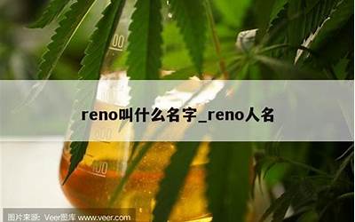 reno怎么读什么意思（reno怎么读啥意思）