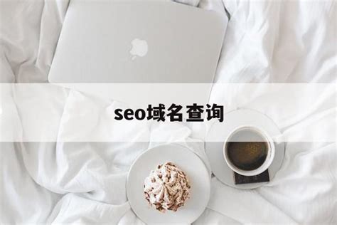 seo1是哪里的域名关键词
