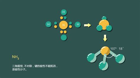seo3分子构型