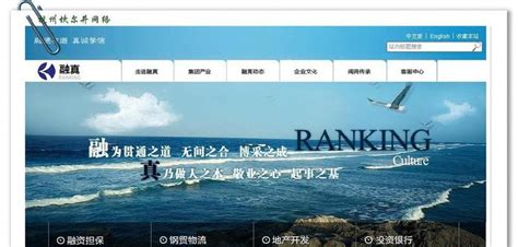 seo企业网站