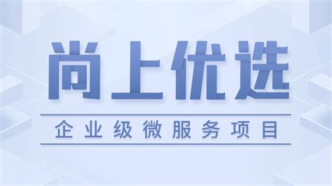 seo软件尚上上海百首网络