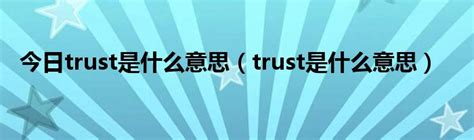trust是什么意思？