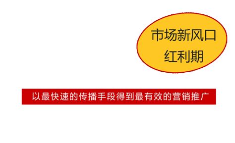 vfpxec_许昌新站网站优化系统