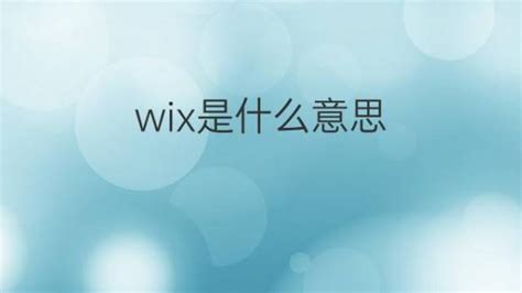 wix是什么网站