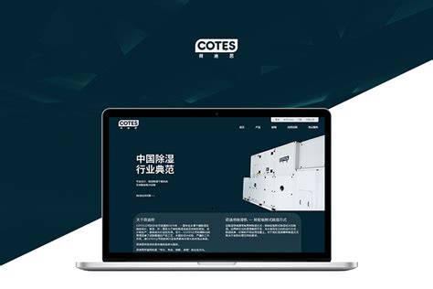 一流的上海网站建设公司
