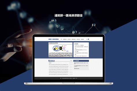 上海专业门户网站建设