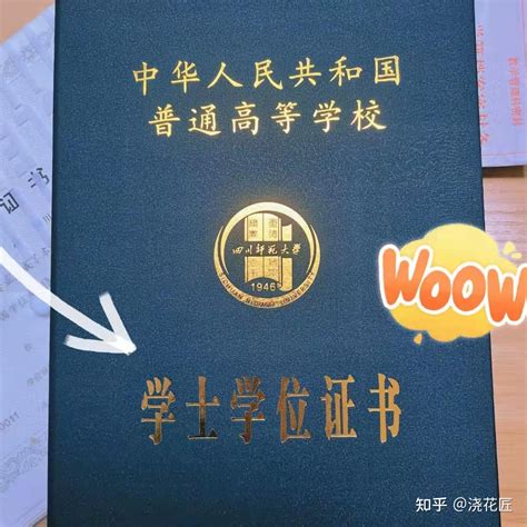 上海教育机构包拿学士学位