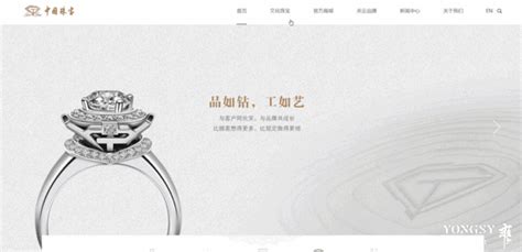 上海有经验的珠宝行业网站推广