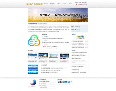 上海网站seo服务公司