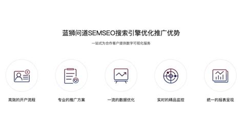 上海网络seo优化公司