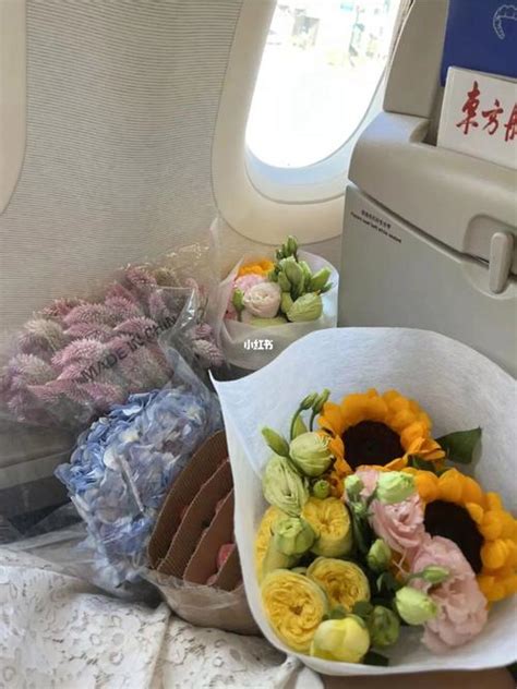 上飞机能带整束花吗(上飞机可以带花束吗)