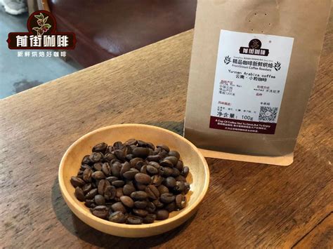 中国咖啡豆排名前十名