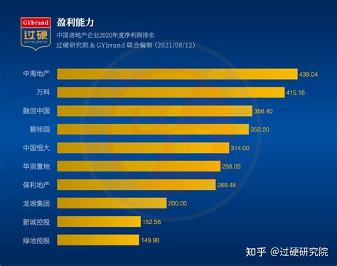 中国房地产产品力排名