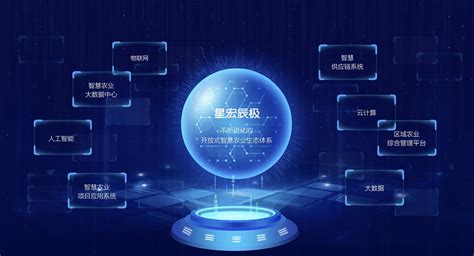 中国网站推广系统加盟项目
