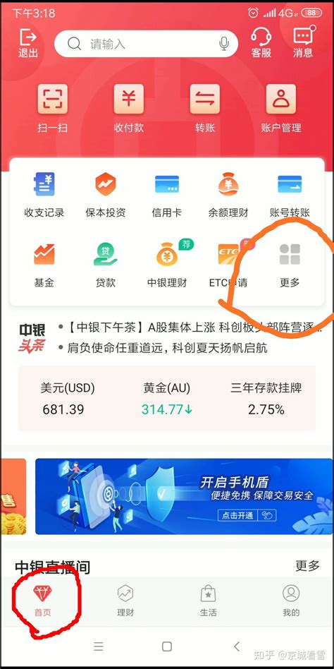 中国银行app公户流水怎么打