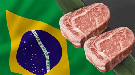 中方同意巴西牛肉恢复输华