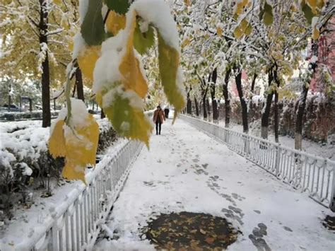 乌鲁木齐下雪