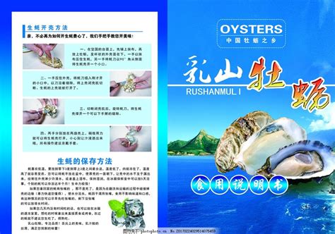 乳山牡蛎网站推广方法