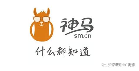 云南神马网站推广平台