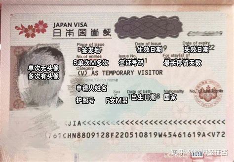 从日本回国后怎么办签证
