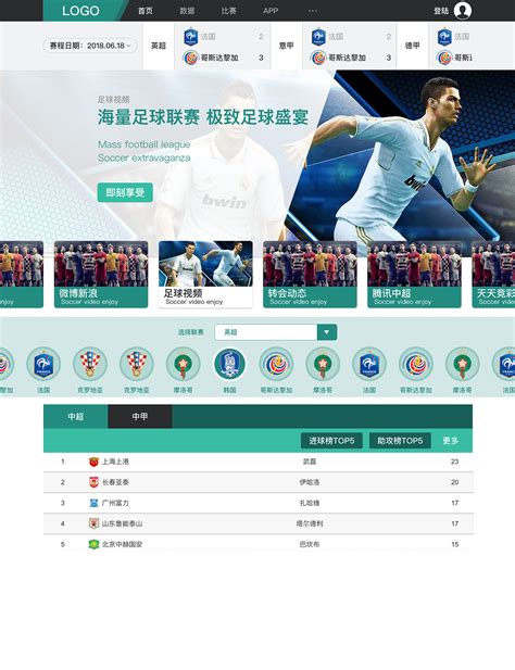体育行业网站seo策划