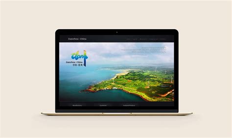 儋州市品牌网站设计