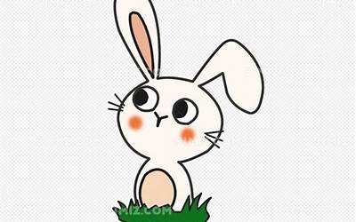 兔丝燕麦是指什么生肖的动物免丝燕麦的动物打一生肖