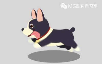 关于制作狗网站动画的图