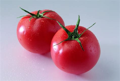关于番茄的作文