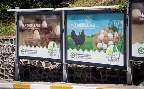 养殖行业seo推广策划