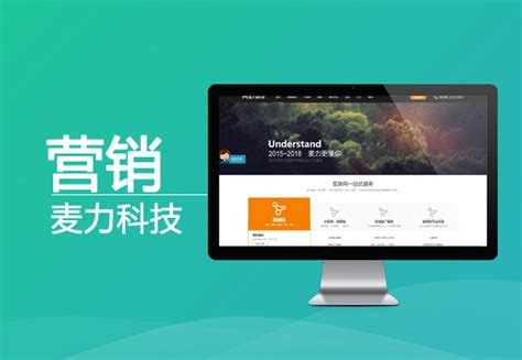 内江德阳网站优化方案