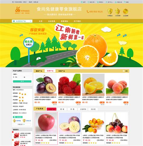 农产品电子商务网站推广营销