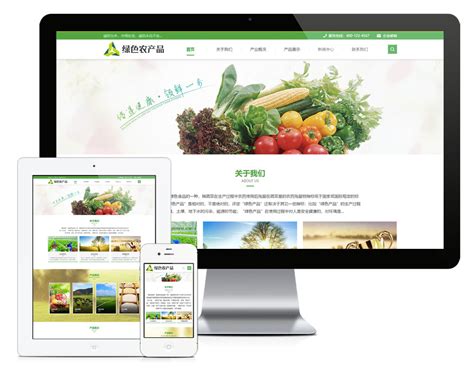 农产品网站发布与推广