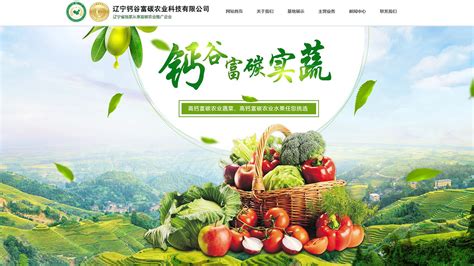 农副产品营销网站建设与推广