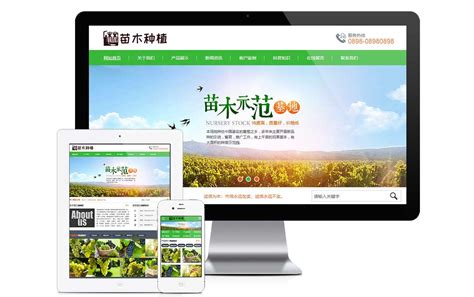 农林苗木推广网站
