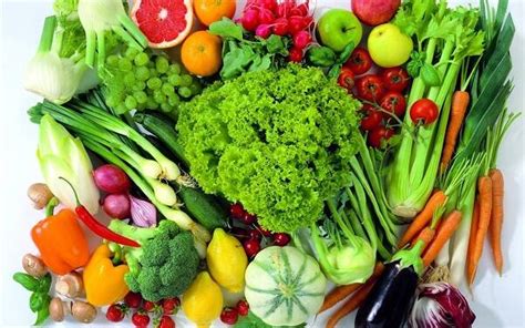 冬天的蔬菜有哪些可种